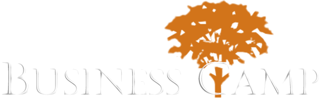 The Business Camp - business consultant